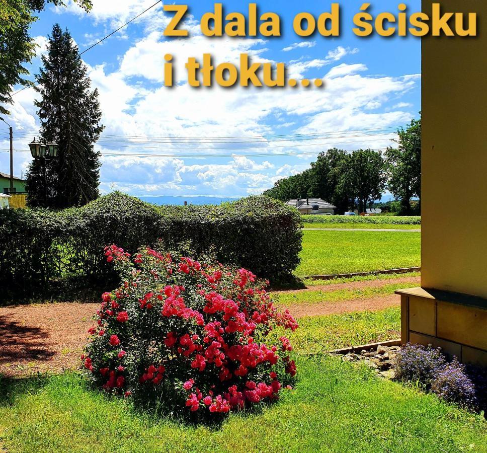 Palac Bazantarnia Pština Exteriér fotografie